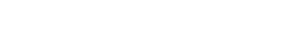 Meta Business Partner, Google Partner y Shopify Partner